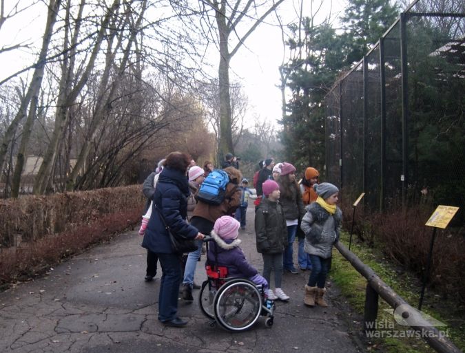 Spacer w zoo (z przodu Kasia i Amelka, dalej Basia, przewodnik Pani Agata, Andżelika, Sylwia, Marcin, Mateusz, z rodzicami)