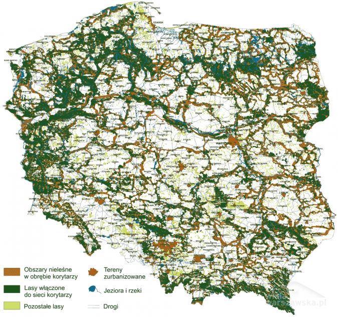 Korytarze ekologiczne łączące obszary Natura 2000 w Polsce (wg. Jędrzejewski i in., 2006)